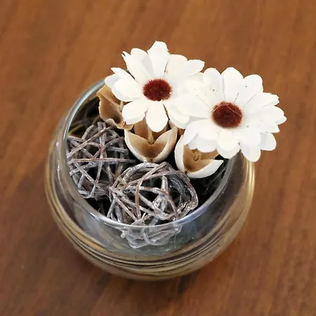 Bobic Appartement Kraj (Zadar)